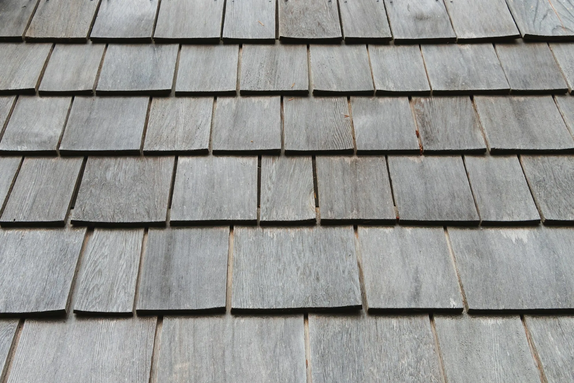 Close-up of weathered roof slates