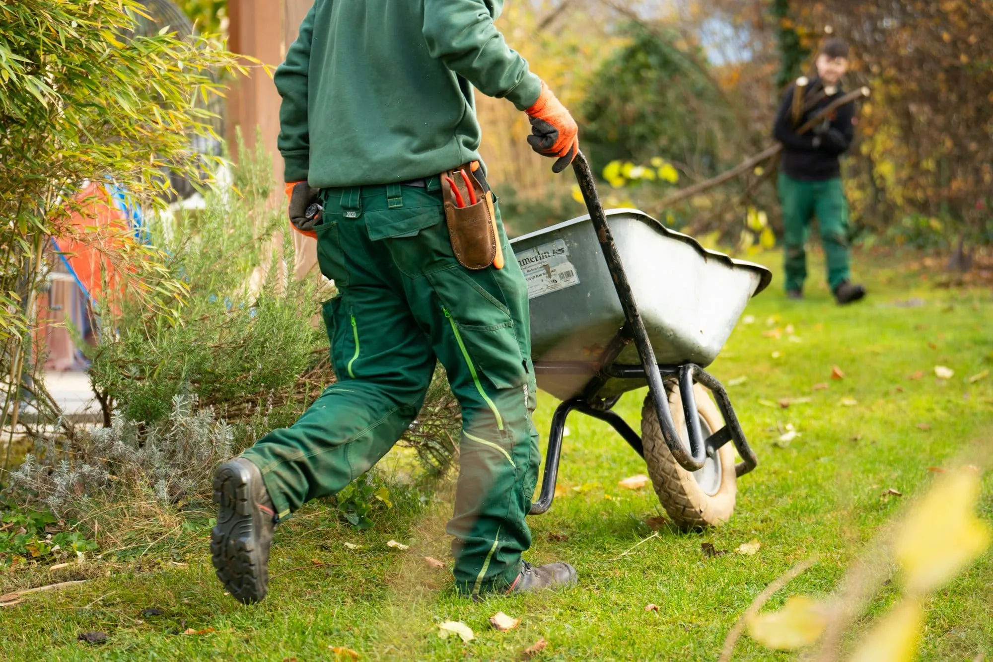 Landscaper pushing a wheelbarrow across a garden